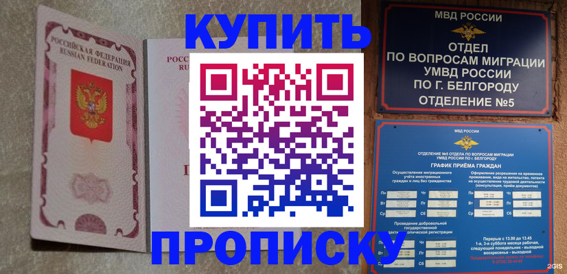 где прописаться в Белгороде